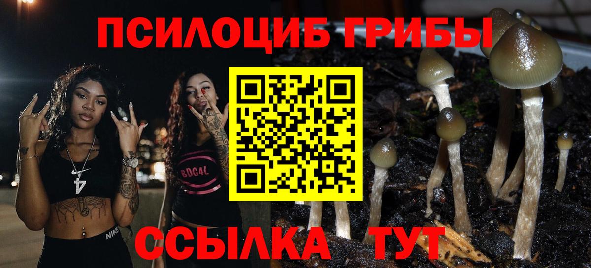 Галлюциногенные грибы Psilocybe  как найти закладки  Ревда  Псилоцибиновые грибы мухоморы  Вход с VPN 