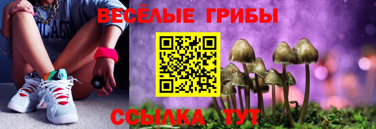 Псилоцибиновые грибы GOLDEN TEACHER Ревда